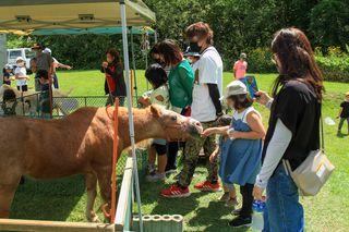 enjoy_syunkoudai_park_2022_08_21_018.jpg