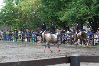 horse_show_2023_08_11_04.jpg