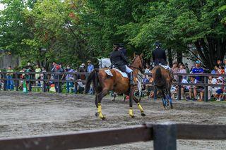 horse_show_2023_08_11_05.jpg