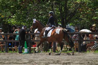 horse_show_2023_08_11_06.jpg