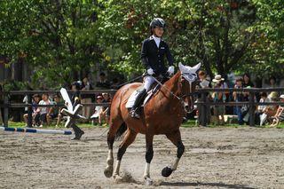 horse_show_2023_08_11_07.jpg