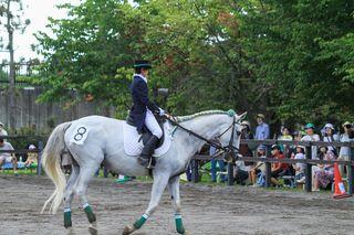 horse_show_2023_08_11_08.jpg