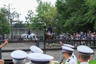 horse_show_2023_08_11_15.jpg