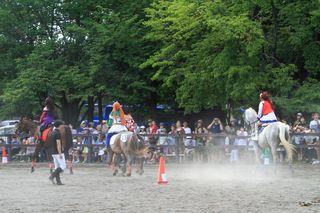 horse_show_2023_08_11_20.jpg