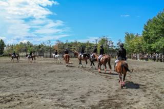 horse_show_2023_info_001.jpg