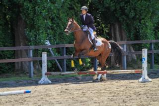 horse_show_2023_info_002.jpg