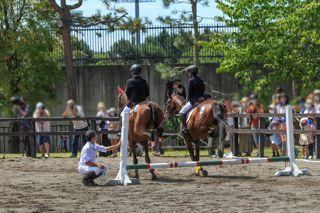 horse_show_2023_info_003.jpg