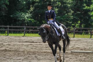 horse_show_2023_info_004.jpg