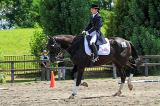 horse_show_2023_info_005.jpg