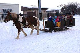 horse_show_winter_info_2021_001.jpg