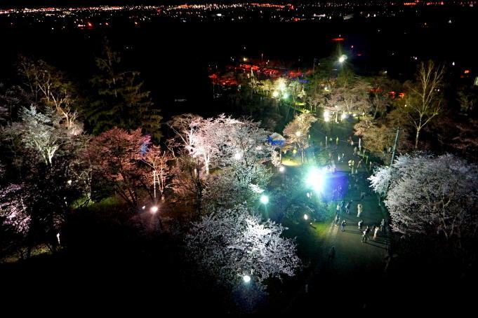 sakura_fes_2018_info_001.jpg