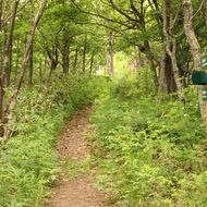 嵐山公園散策路（登山道）