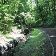 散策路とせせらぎ水路