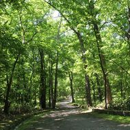 散策路（自然生態観察公園区域園路）