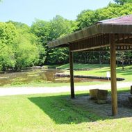 野鳥の池