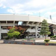 スタルヒン球場（花咲スポーツ公園硬式野球場）