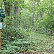 嵐山公園散策路（登山道）