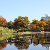 紅葉（１０月）