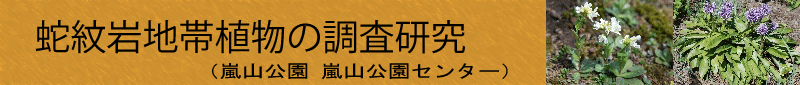 蛇紋岩地帯植物の調査研究