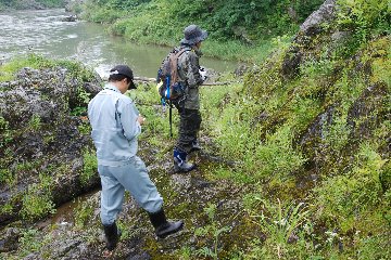 自生地の調査