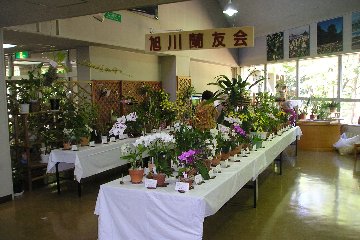 緑のセンター展示会