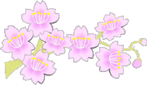 桜の剪定枝イメージ