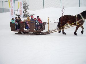 馬そり遊覧