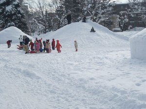 常磐公園スノーパーク