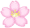 ５分咲き