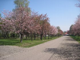 昨年の春光台公園