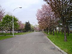 花咲スポーツ公園
