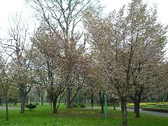 常磐公園