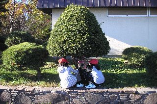 旭川市立新富小学校