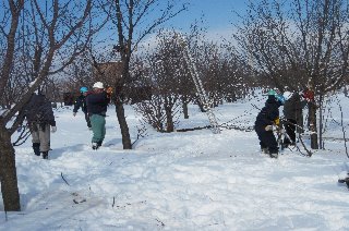 上川地方造園業組合