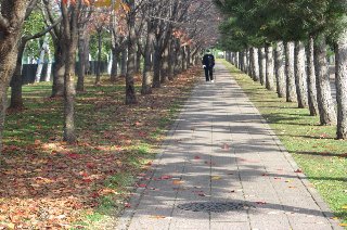 旭川家庭裁判所調査官室