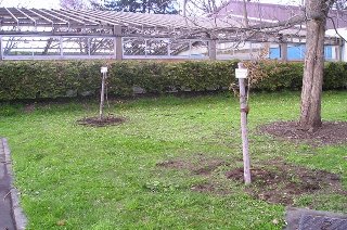 旭川商業高校
