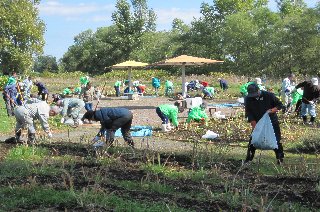 旭川市緑化協力会・旭川市を緑にする会