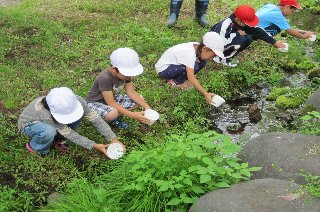 西神楽小学校