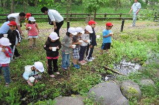 西神楽小学校
