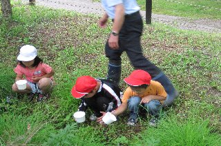西神楽小学校