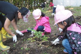 旭川春光台保育園