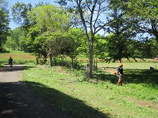 2025_07_10kitanomori_001.jpg