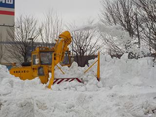2025_3_25tukamoto_002.jpg