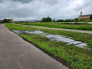 arai_kensetsu_2023_06_23_003.jpg