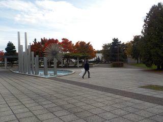 hogokansatsu_2017_10_10_002.jpg