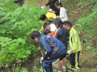 西神楽小学校