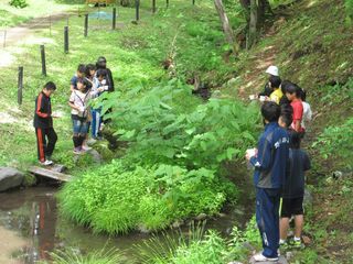 西神楽小学校