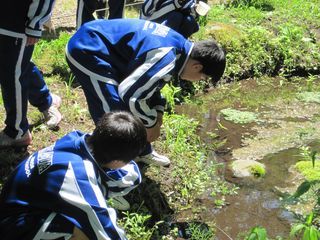 西神楽中学校１年生