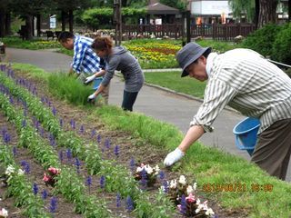 アステラス製薬株式会社