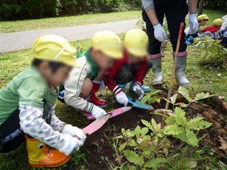 旭川春光台保育園